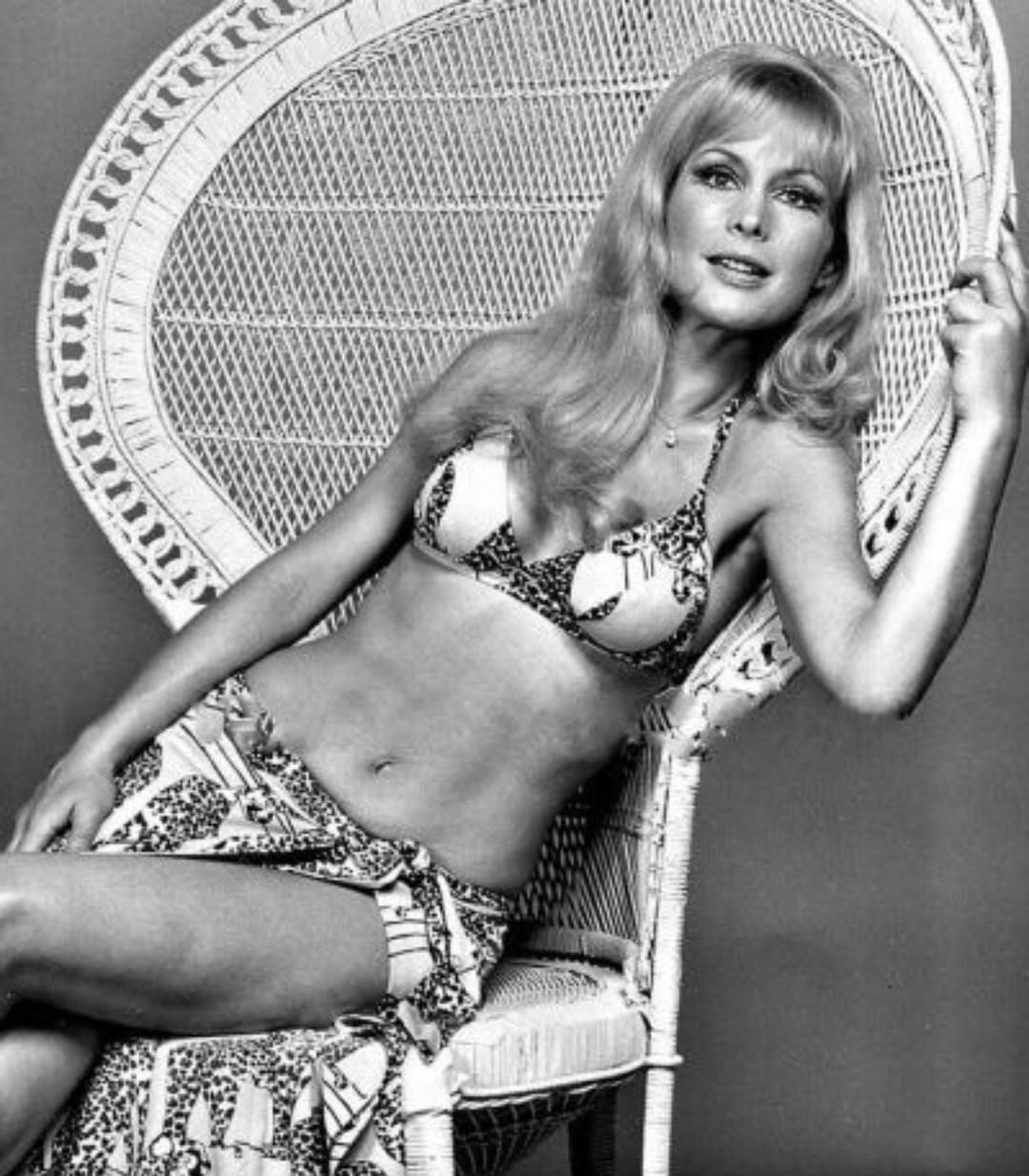 Barbara Eden Barbara Eden I Dream Of Jeannie Iconic Women Barbara Eden Barbara Eden I Dream Of Jeannie Iconic Women