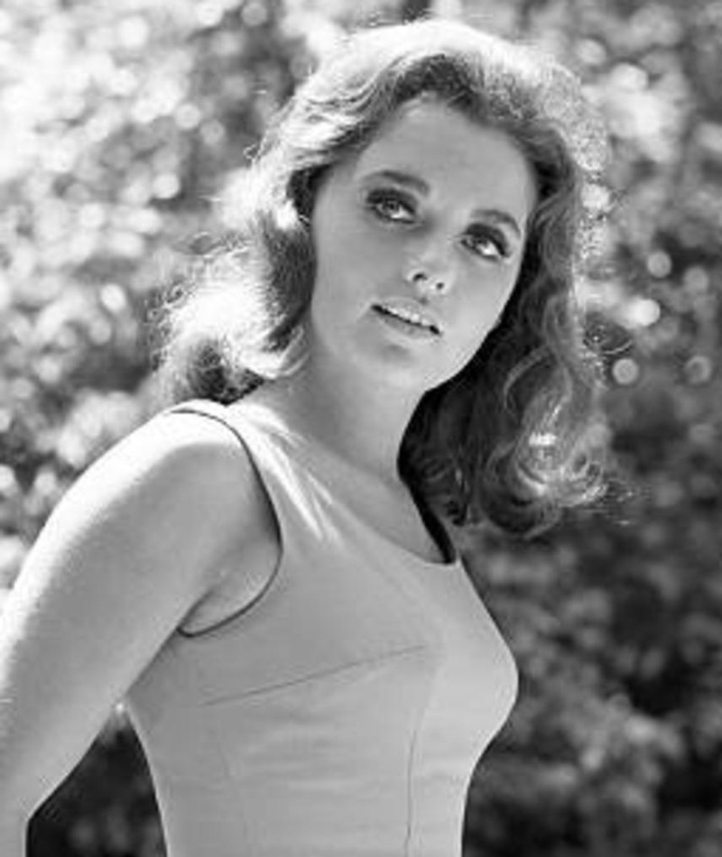 Dawn Wells Image Dawn Wells Image