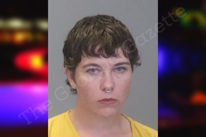 Sydney Smith Muscogee County Jail Bookings Sydney Smith Muscogee County Jail Bookings