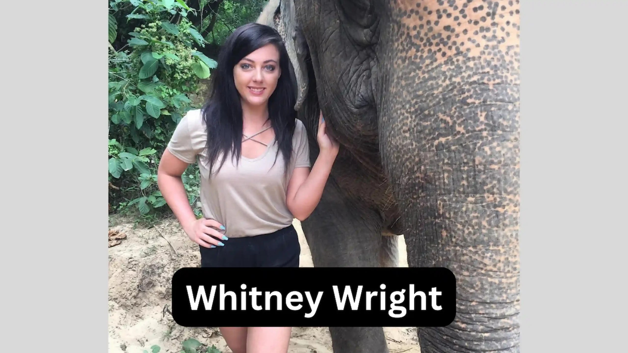 Whitney Wright Second First Date R Pornstars In Lingerie Whitney Wright Second First Date R Pornstars In Lingerie
